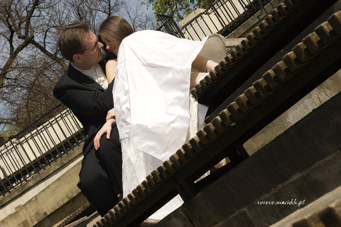 IMG_2718 copy